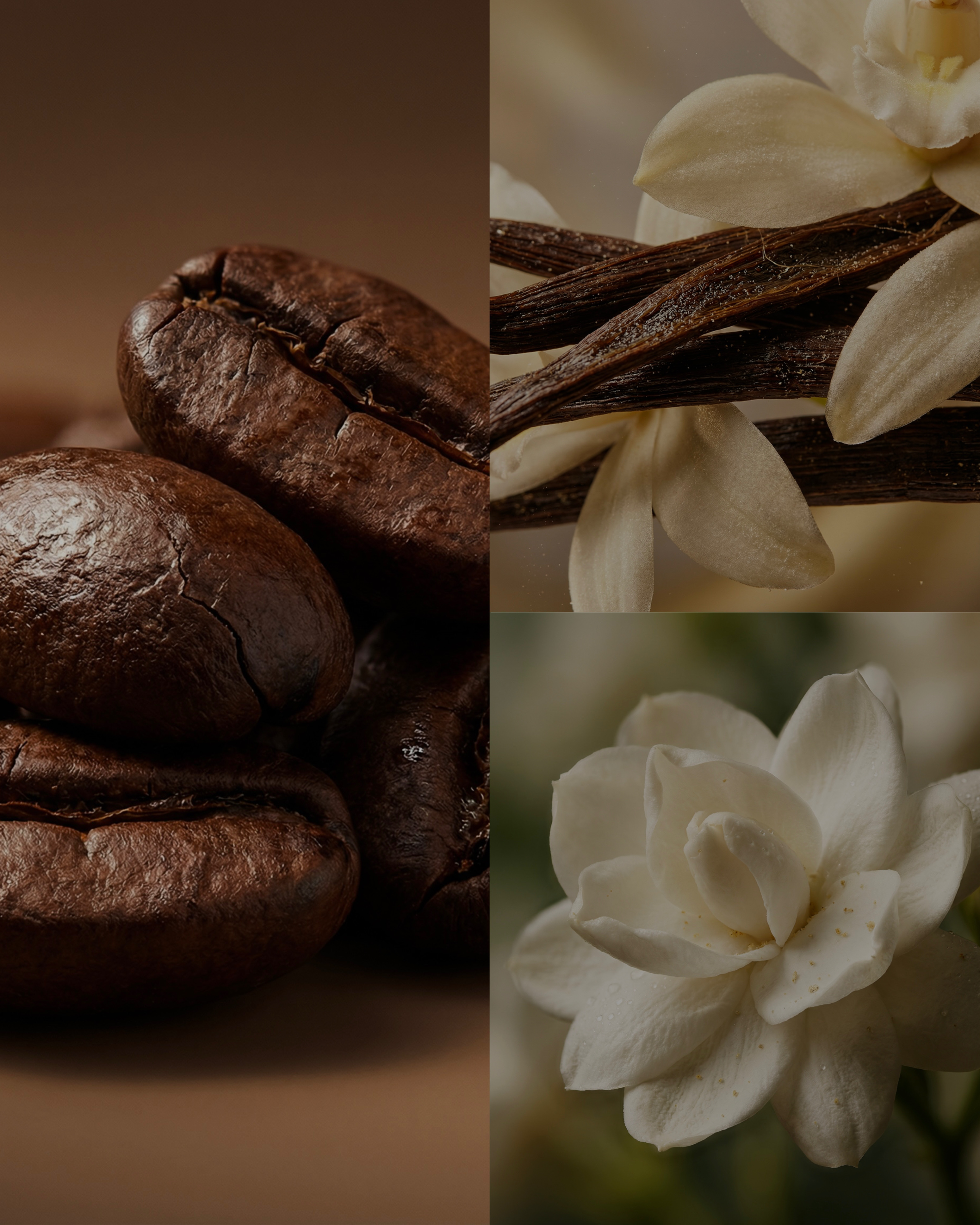Coffe kiss [Inspired by Black Opium YSL]