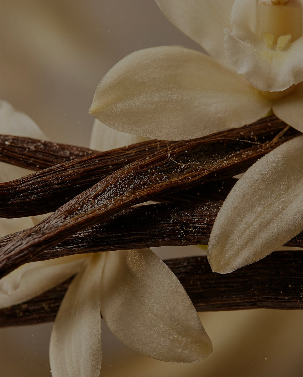 Warm Vanilla [our version of Kayali Vanilla 28 ]